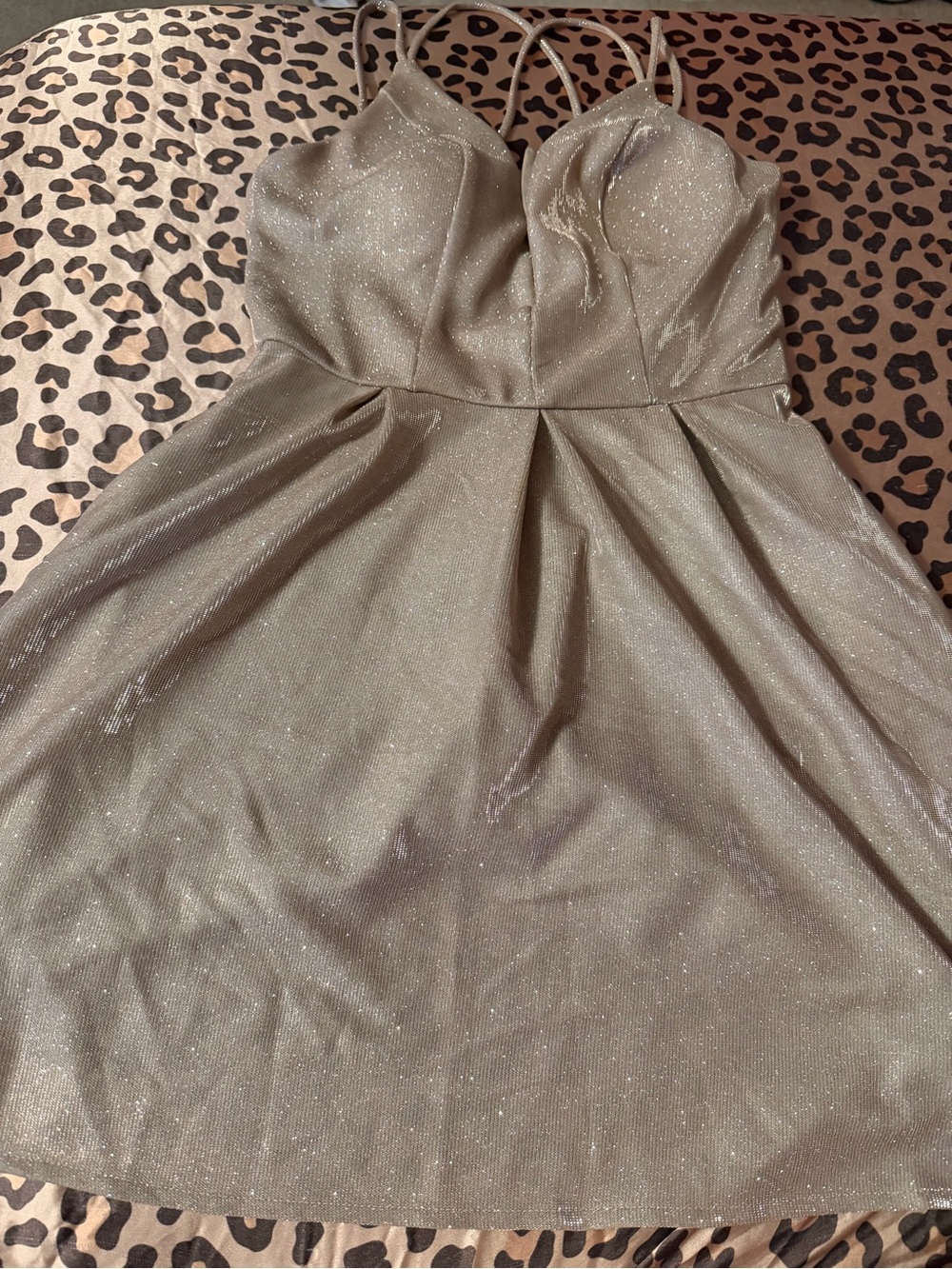 Crystal Doll Sparkling Champagne A-Line Dress